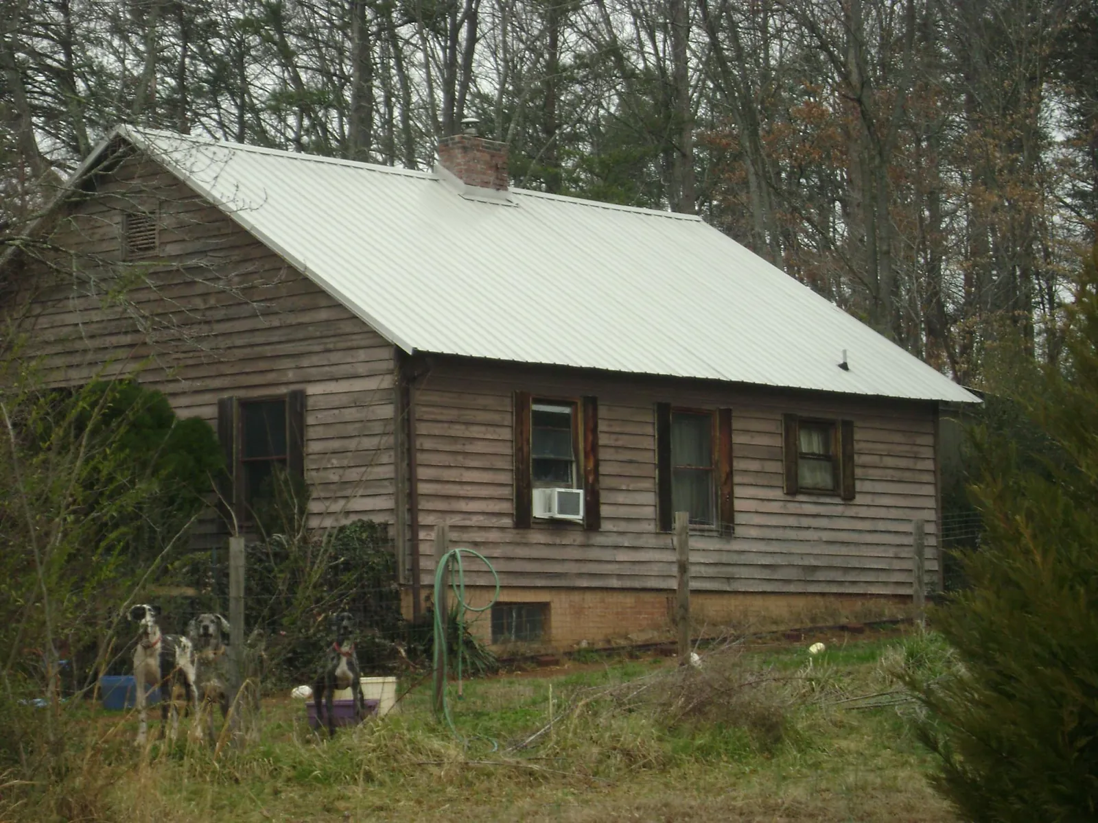 White metal roof on an old wood sided farmhouse, from a Metal Roof Installation job in Dows